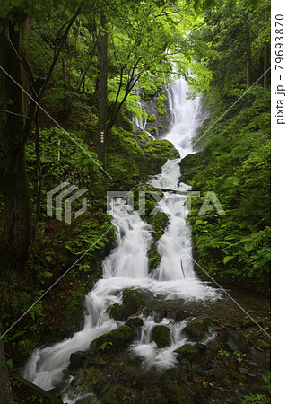 中林の滝(岡山県苫田郡鏡野町) 中林の滝(岡山県苫田郡鏡野町) 79693870