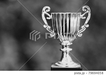 優勝カップ 79694058