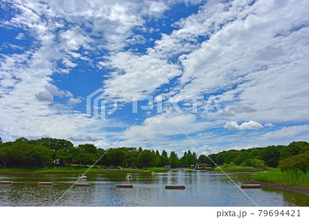 夏色の風景 夏色の風景 79694421