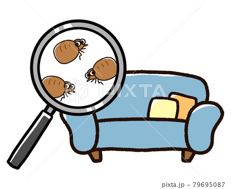 ソファに発生したノミ 79695087