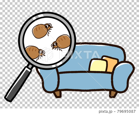 ソファに発生したノミ 79695087
