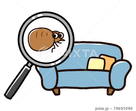 ソファに発生したノミ 79695090