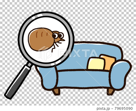 ソファに発生したノミ 79695090