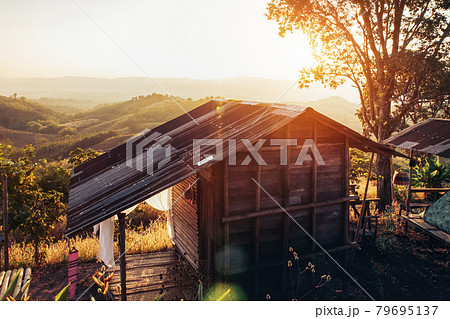 View wooden hut with sunshine in sunrise at Thailand forest. 79695137