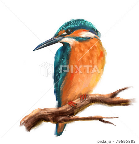 Bird Kingfisher Sitting on the Branch. Pastel painting style 79695885