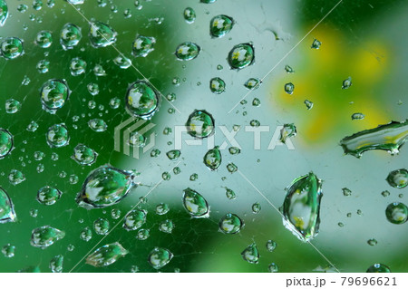 蜘蛛の巣を飾る水滴 蜘蛛の巣を飾る水滴 79696621