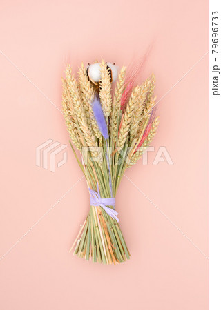 Bouquet of dried flowers on a pink background. Rye and cotton. Bouquet of dried flowers on a pink background. Rye and cotton. 79696733