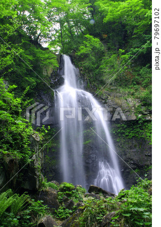 銚子ヶ滝(福島県・郡山市) 銚子ヶ滝(福島県・郡山市) 79697102