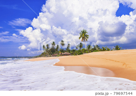 Beautiful wild beaches of Sri Lanka. tranquil Tangale, south of island 79697544