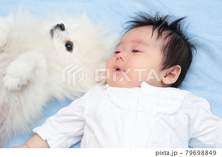 新生児の赤ちゃんと愛犬ポメラニアン 新生児の赤ちゃんと愛犬ポメラニアン 79698849
