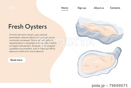 Fresh tasty seafood clams, shellfish in seashells vector hand drawn landing page design with text space. Fresh tasty seafood clams, shellfish in seashells vector hand drawn landing page design with text space. 79699075
