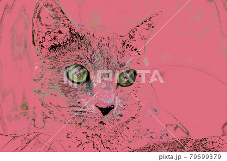 猫 ロシアンブルーのアバンギャルドな抽象画のイラスト素材 [79699379