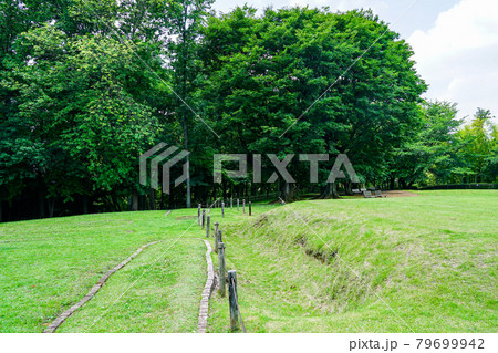 大塚・歳勝土遺跡公園（神奈川県横浜市都筑区 港北ニュータウン） 79699942