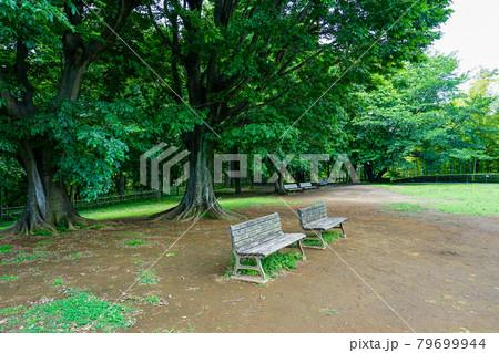 木陰のベンチ 大塚・歳勝土遺跡公園（神奈川県横浜市都筑区 港北ニュータウン） 79699944