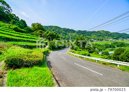棚田と道路 棚田と道路 79700025