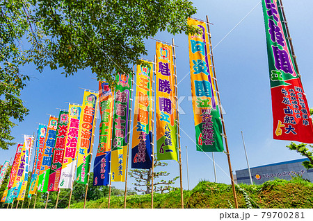 大相撲名古屋場所、はためく相撲のぼり〈愛知県名古屋市〉 79700281