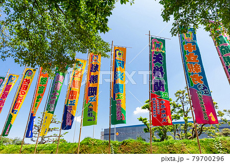 大相撲名古屋場所、はためく相撲のぼり〈愛知県名古屋市〉 79700296