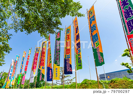 大相撲名古屋場所、はためく相撲のぼり〈愛知県名古屋市〉 大相撲名古屋場所、はためく相撲のぼり〈愛知県名古屋市〉 79700297
