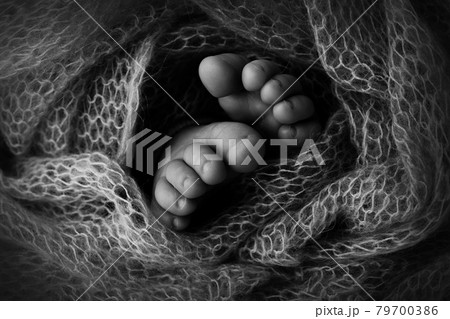Feet of a newborn close-up in a woolen blanket. Pregnancy, motherhood, preparation and expectation of motherhood, the concept of the birth of a child. Black and white photography. 79700386