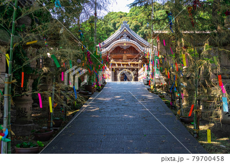 熊野神社 参道の七夕飾りが煌く 愛知県東海市 の写真素材