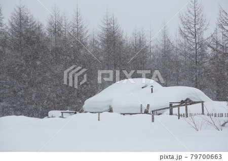 Snowfall and large snowdrifts in the village 79700663
