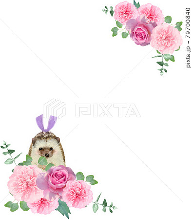 かわいいいハリネズミのいるバラの花と植物の白バックフレームイラスト素材のイラスト素材