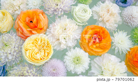 菊、カーネーション、バラ、ラナンキュラスのフラワーアレンジメント。水に浮かぶ白、黄色、オレンジ、紫の 79701062