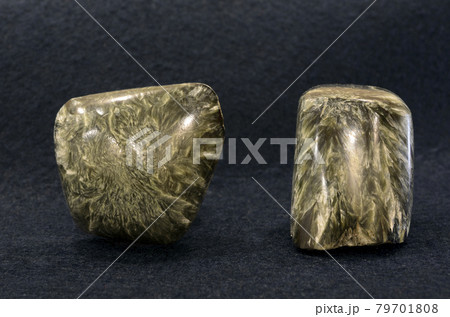 Clouse-up of gray-yellow seraphinite mineral from Irkutskaya Oblast of Eastern Siberia, on gray background 79701808