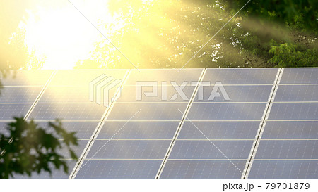 solar panel on the roof of the house in the rays of the bright sun among the trees 79701879