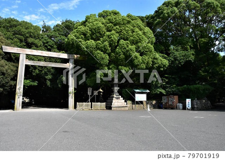 熱田神宮・西門／愛知県名古屋市 79701919