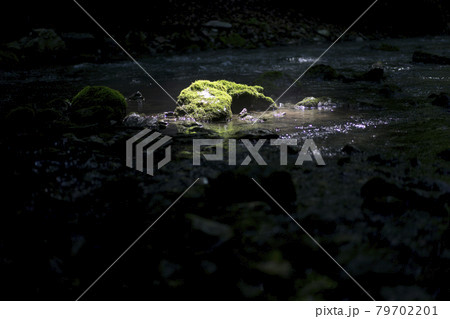 Stones in the water taken close-up, karst river on a sunny day 79702201