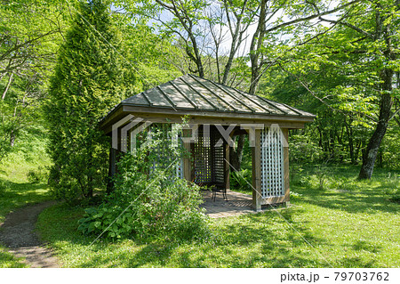 軽井沢タリアセンのイングリッシュローズ・ ガーデン 軽井沢タリアセンのイングリッシュローズ・ ガーデン 79703762