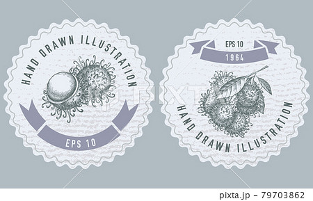 Monochrome labels design with illustration of rambutan 79703862