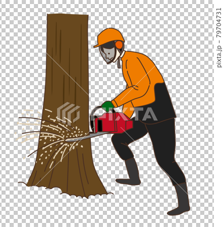 林業　伐採　木を切る 79704731