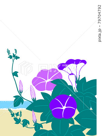 暑中お見舞い 79704792