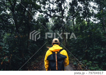 Man hiking and exploring forest area 79704917