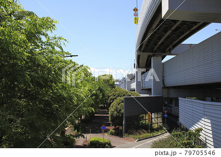 美女木ジャンクション付近にて(埼玉県戸田市) 美女木ジャンクション付近にて(埼玉県戸田市) 79705546