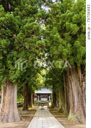 河口浅間神社 河口浅間神社 79706883