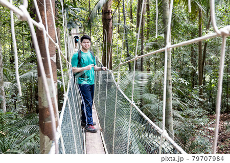 Tourist walking on canopy at Taman Negara National Park rainforest Tourist walking on canopy at Taman Negara National Park rainforest 79707984