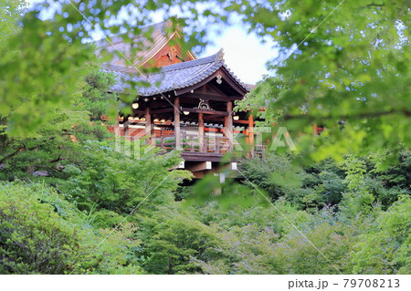 東福寺 新緑の庭園 夕暮れからライトアップ 東福寺 新緑の庭園 夕暮れからライトアップ 79708213