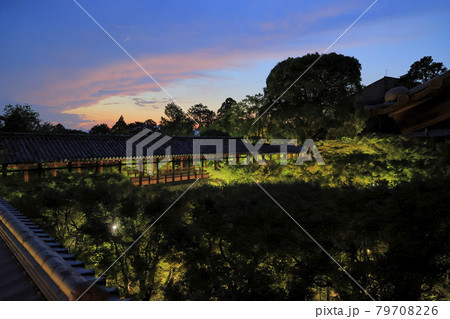 東福寺 新緑の庭園 夕暮れからライトアップ 東福寺 新緑の庭園 夕暮れからライトアップ 79708226
