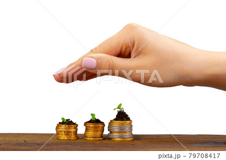 Seedlings grown on a coins stack in female palm 79708417