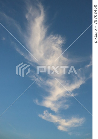 羽みたいな雲 羽みたいな雲 79708460