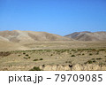 The road in the desert area of Uzbekistan. 79709085