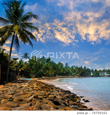 Beautiful sunset over a tropical beach with palm trees. Beautiful sunset over a tropical beach with palm trees. 79709162