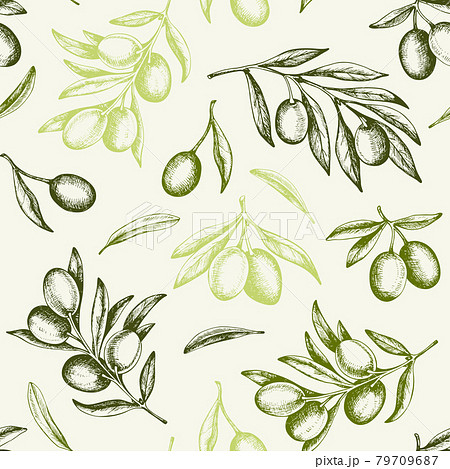 Vintage pattern with green olives and olive branch. 79709687