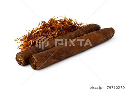 Cigar and bunch of dry tobacco leaves isolated on white Cigar and bunch of dry tobacco leaves isolated on white 79710270