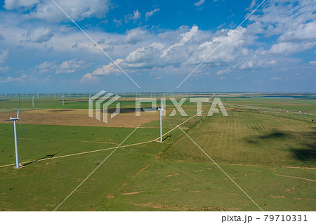 Wind turbine power farm in Texas USA with rows of many windmill renewable energy 79710331