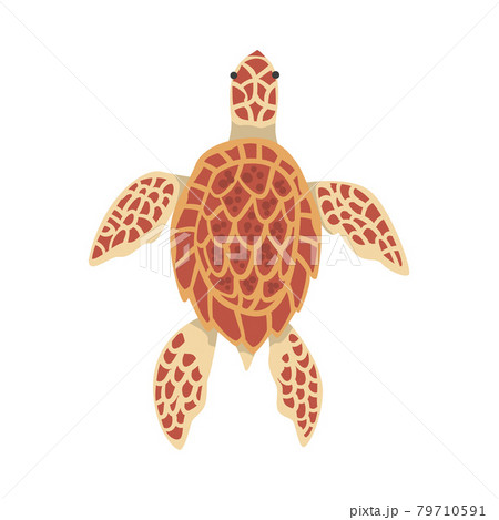 Turtle Aquatic or Terrestrial Reptilian Creature Cartoon Vector Illustration 79710591