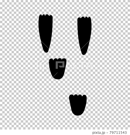 ウサギの足跡 79711543